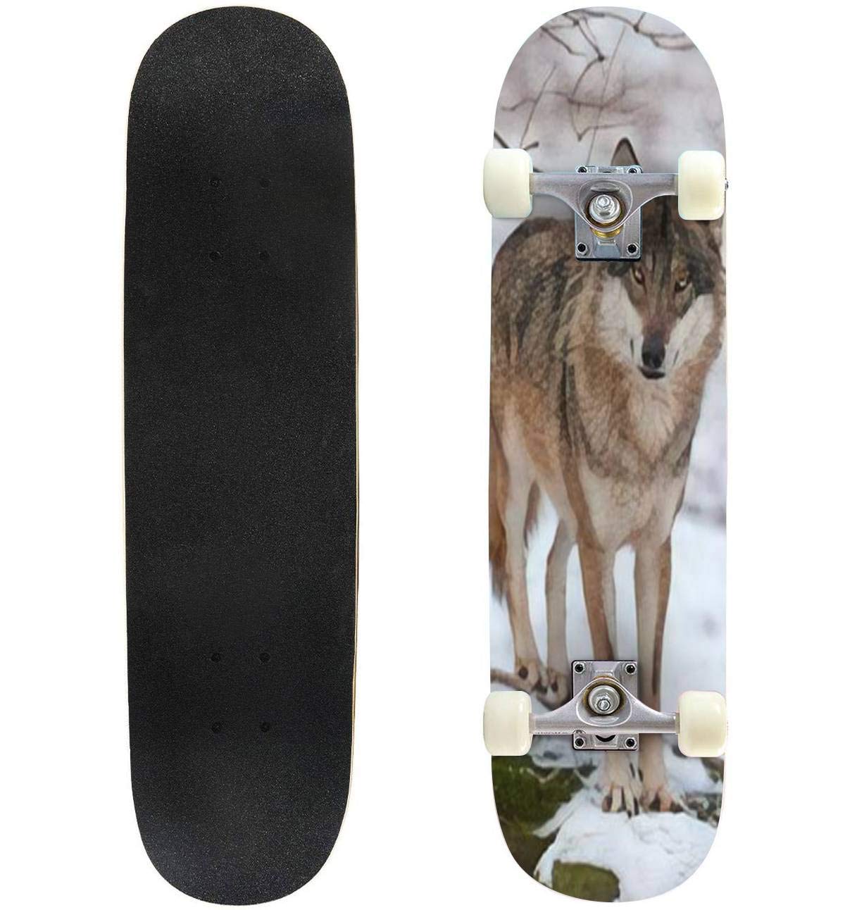 送料無料Classic Concave Skateboard Grey Wolf Canis Lupus Longboard Maple Deck Extreme Sports and Outdoors Double Kick Tr